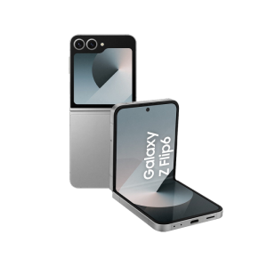 Телефон Samsung Galaxy Z Flip 6 12/256GB Серый (Gray), фото №1